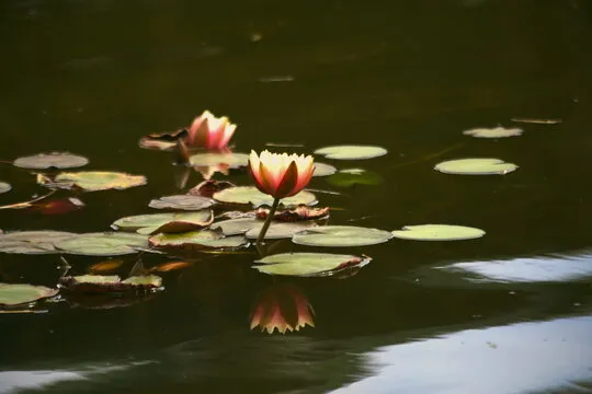 数据趋势参考图